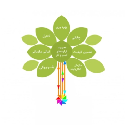 دستاوردهای به کارگیری RayBPMS